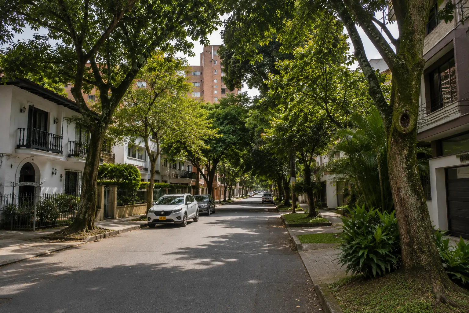 Cómo Arrendar tu Primera Habitación (Quarto) en Medellín o Bogotá: Guía Completa